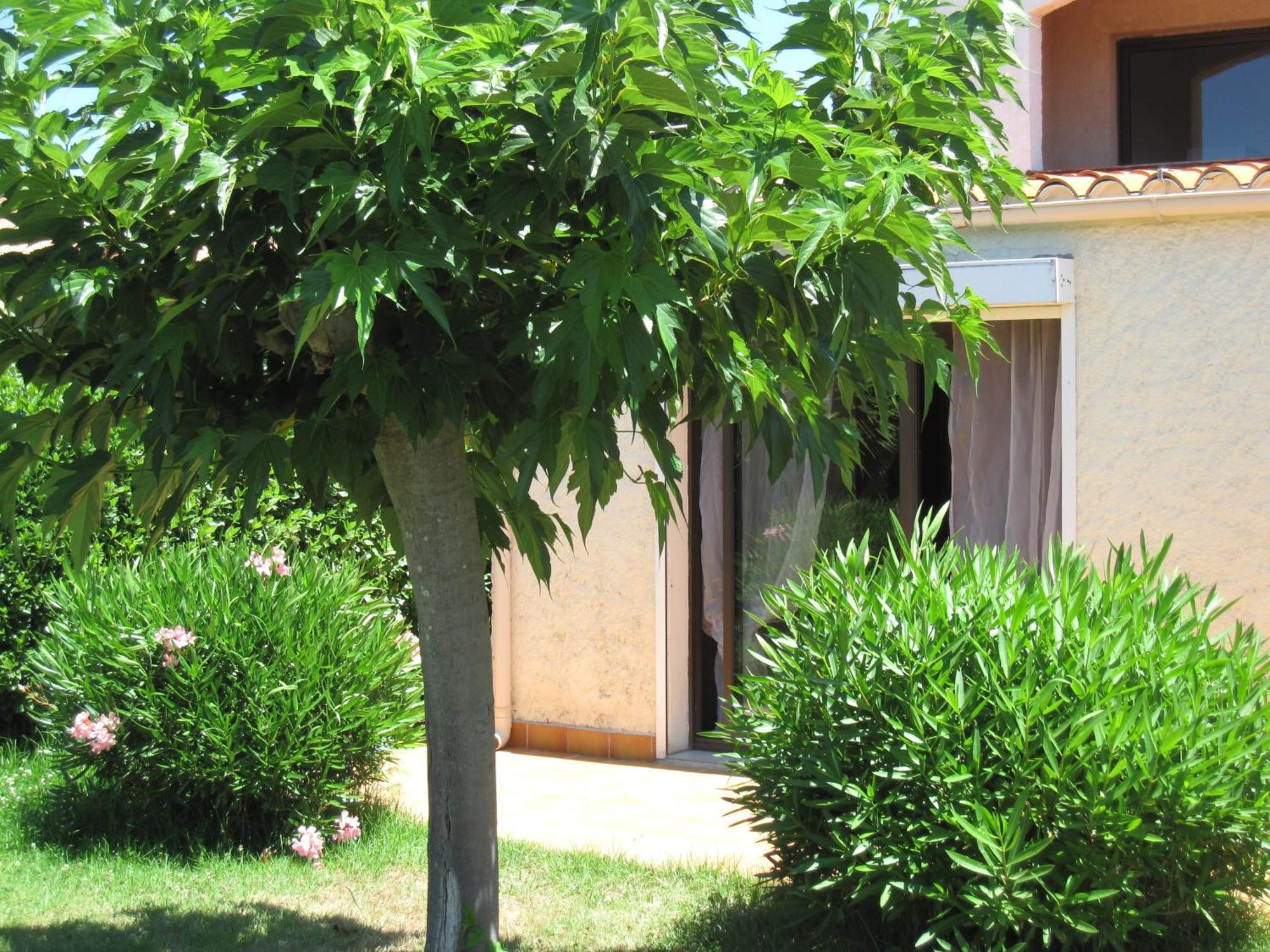 Residence Les Bell'Ombres Cargese Bagian luar foto